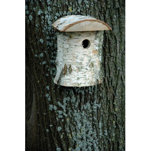 Natur Nistkasten aus Birkenholz, 32mm Ø, 14x14x22cm, FSC® zertifiziert.