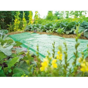 Grüne Frühbeetfolie (10x1,5m) über Gemüsebeet im Garten, Schutz vor Witterung und Insekten.