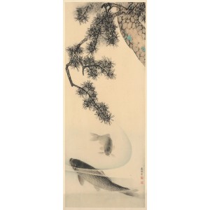 Komar Fototapete Vlies Koi, 100x250 cm, mit Koi-Karpfen und Kieferzweig Motiv.