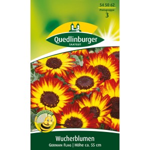 Packung Wucherblume 'German Flag' Samen: Sommerblumen in Schwarz-Rot-Gold für Beet und Rabatte.