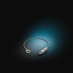 Philips Hue Secure Sicherungskabel, 1,5 m, Edelstahl für Kameraüberwachung.