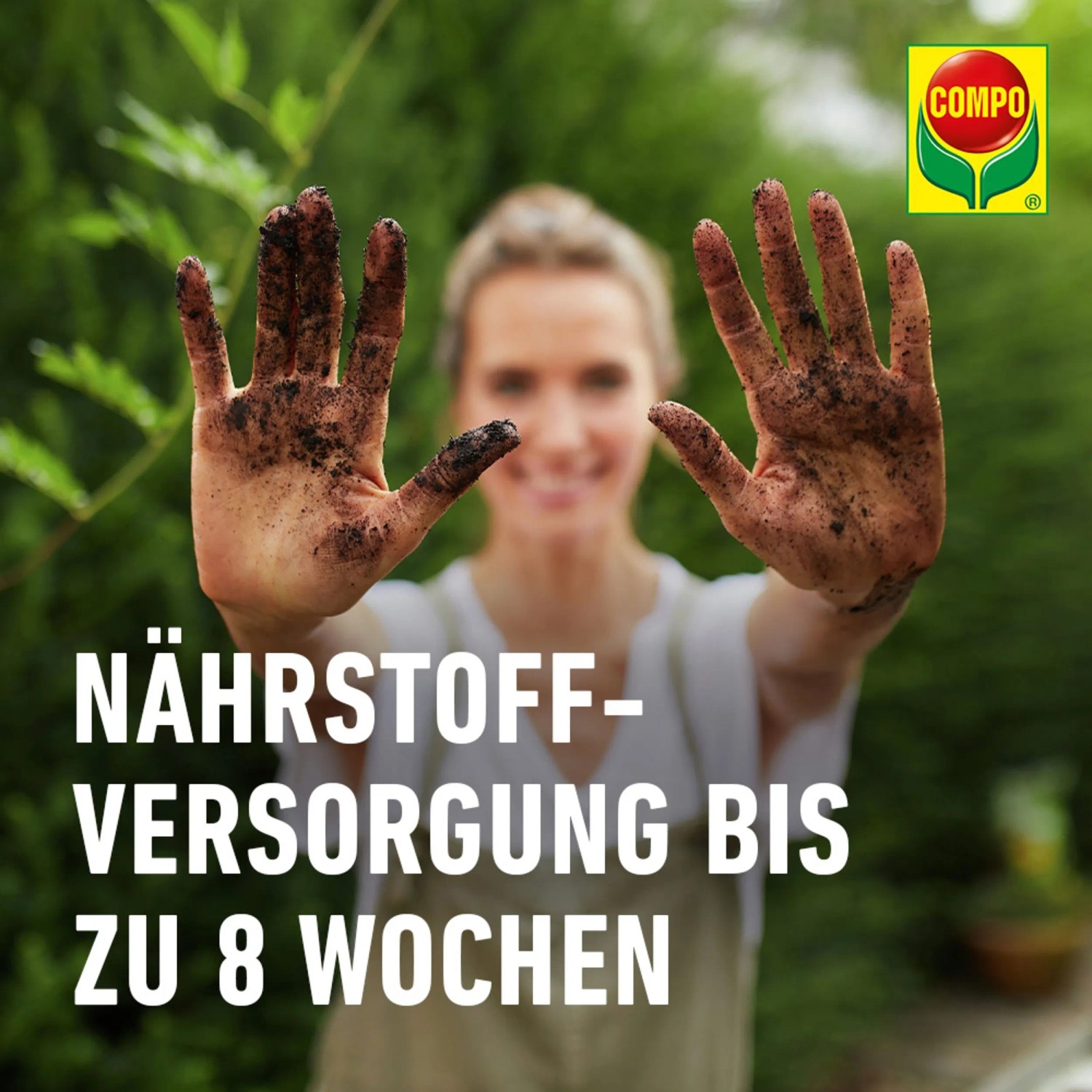 bambus lasieren Bambus Renovierungslasur - Natur