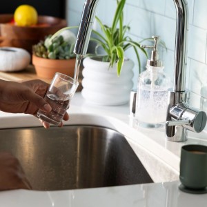 Anzuchtglas von Fiskars in Grün unter Wasserhahn. Ideal für Stecklinge und Wurzelvermehrung.