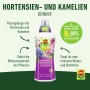 Compo Hortensien- und Kameliendünger 1 l_3