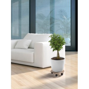 Pflanzenroller aus Buche Natur, geriffelt, rund, Ø 30 cm unter Pflanze im Wohnraum.