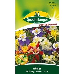 Quedlinburger Akelei 'Spezialrasse Mischung' Blumensamen mit farbenfrohen Blüten.