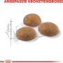 Drei Kroketten Royal Canin Outdoor Katzenfutter Trocken Freigänger, angepasst in der Größe.
