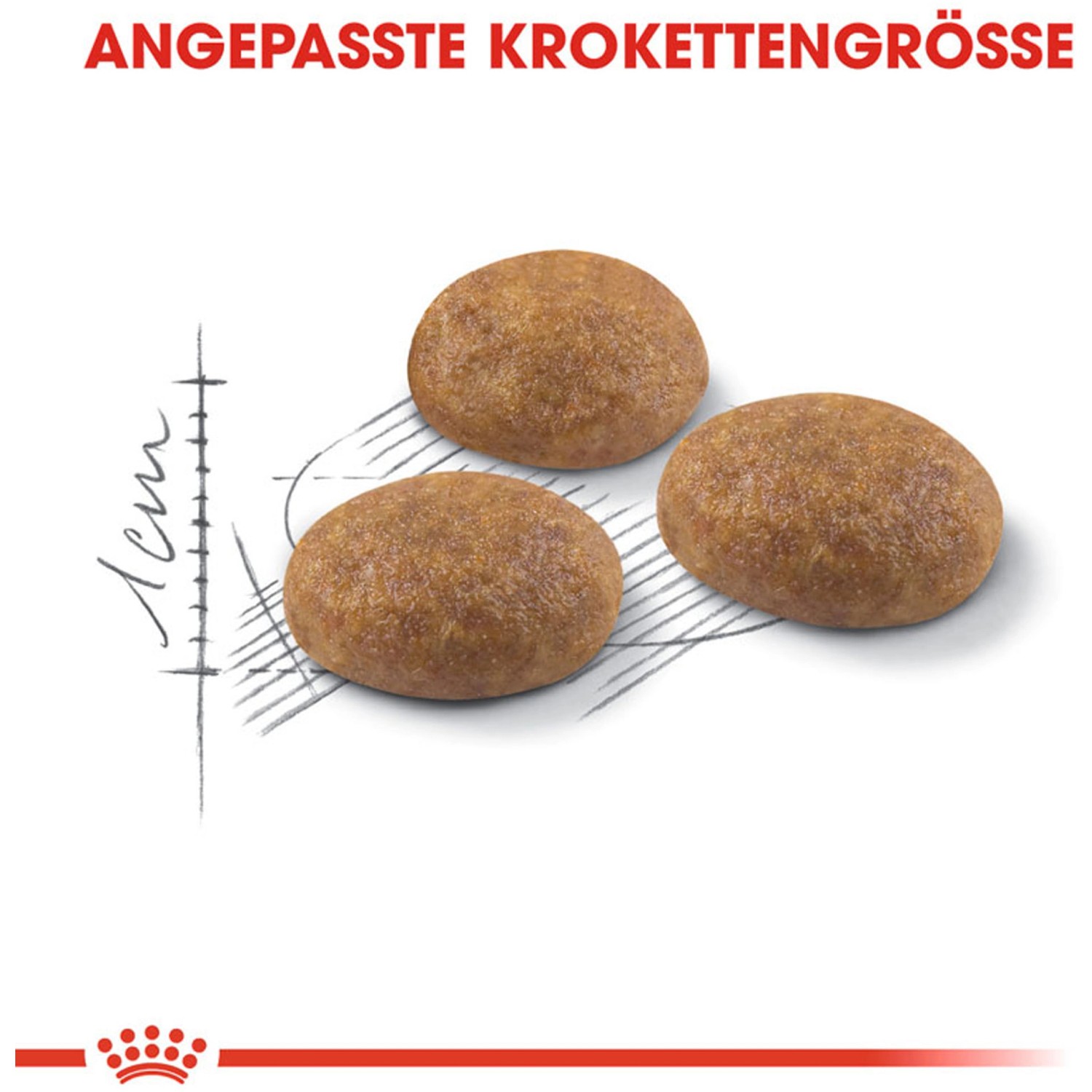 Drei Kroketten Royal Canin Outdoor Katzenfutter Trocken Freigänger, angepasst in der Größe.
