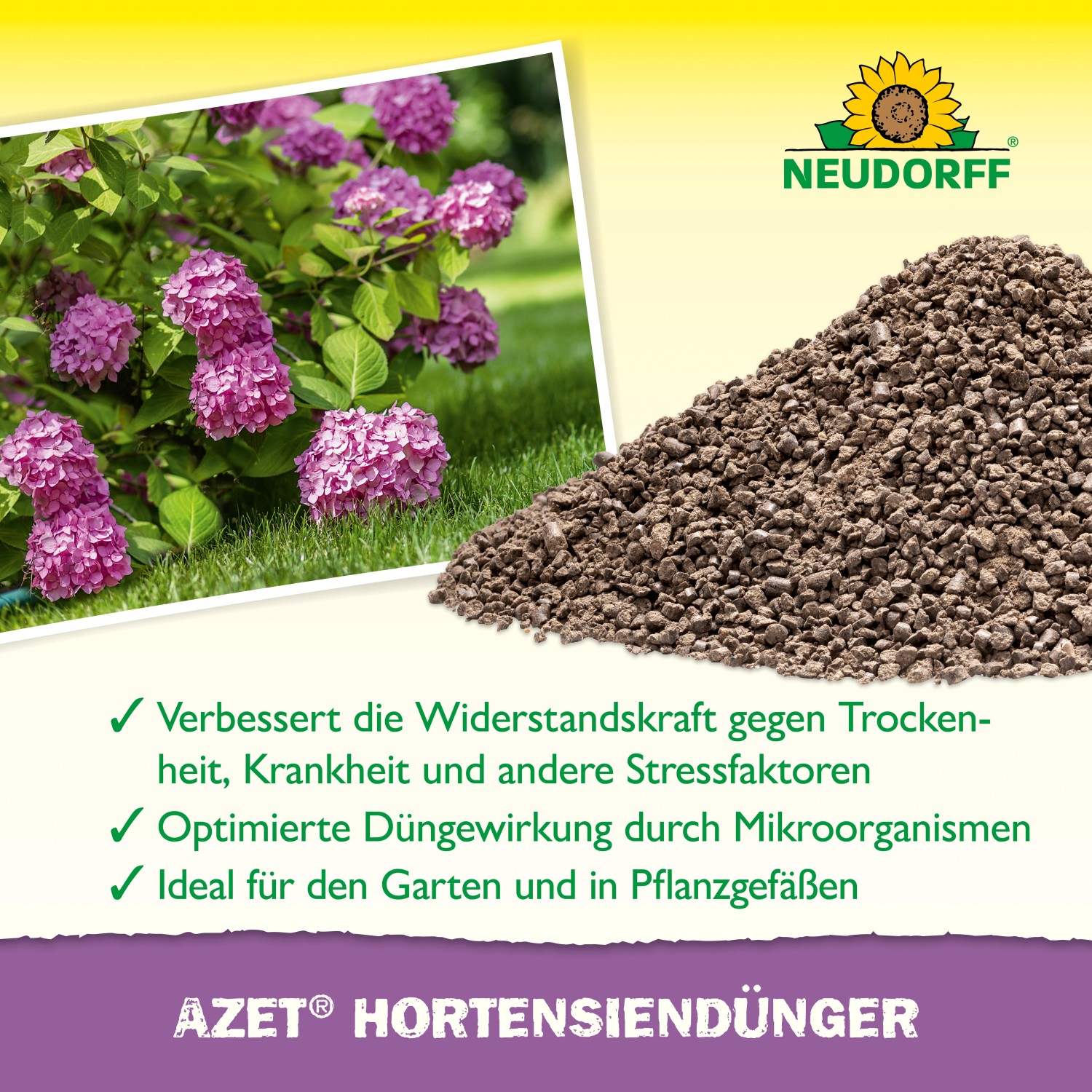 Neudorff Azet Hortensiendünger: Organischer Dünger für kräftige Hortensien und prächtige Blüten.