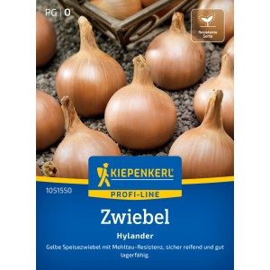 Kiepenkerl Speisezwiebel 'Hylander' F1-Hybride, gelb-braune Zwiebeln im Detail.