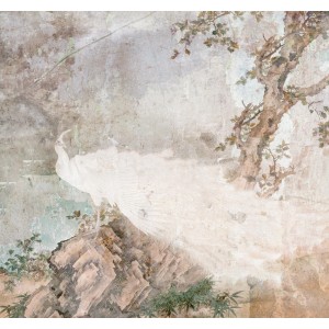Komar Vlies Fototapete Pasado (300x280 cm) mit weißem Pfau auf Felsen und Baum.