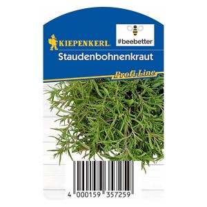 Kiepenkerl Staudenbohnenkraut im Topf, grüne Blätter. Küchenkräuter für deftige Speisen.