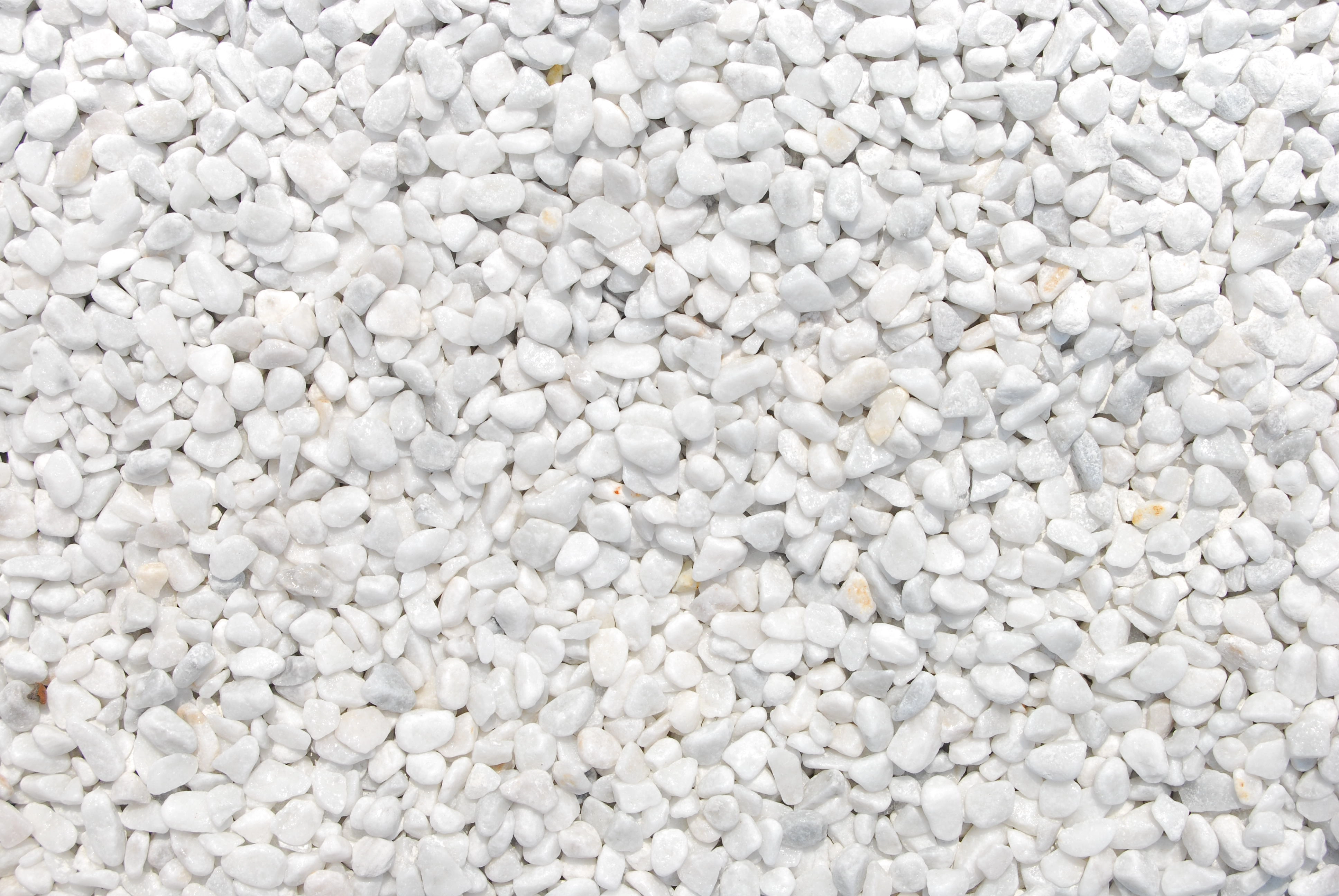 Scherf Marmorzierkiesel Carrara-Weiß 12-16 mm 15 kg kaufen bei OBI