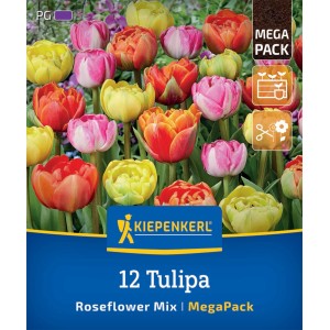 Kiepenkerl Rosentulpen-Mischung, gefüllte Tulpen in verschiedenen Farben, 12 Stück im Mega-Pack.