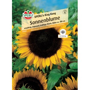 Samenpackung SPERLI's King Kong Sonnenblume, großblumige Zier- und Schnittblume.