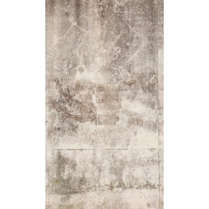 A.S. Création Fototapete Vlies Betonwand Vintage 159 cm x 280 cm Beige-Weiß FSC®