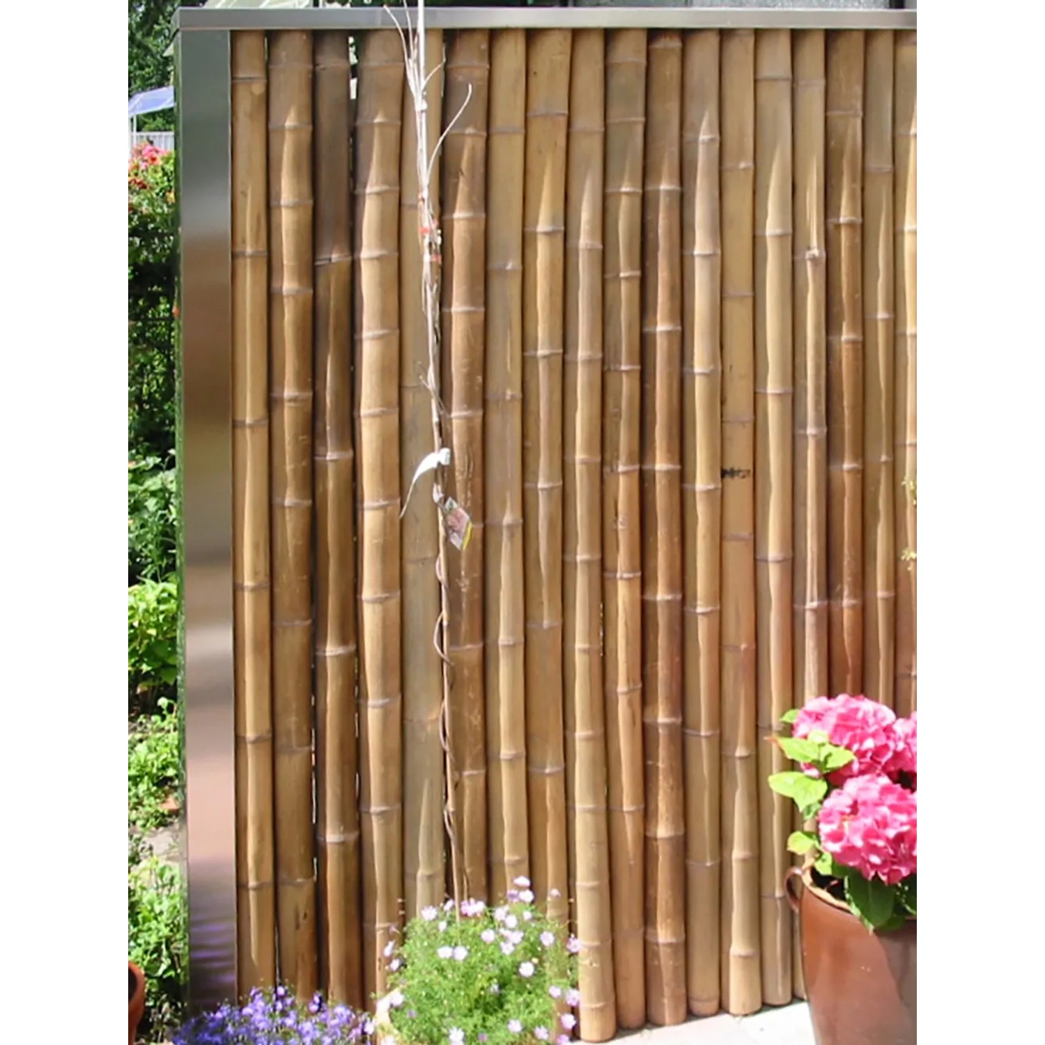 Elephant Anfangs-/Endpfosten Bambooline 230 cm x 7,5 cm x 7,5 cm kaufen bei  OBI