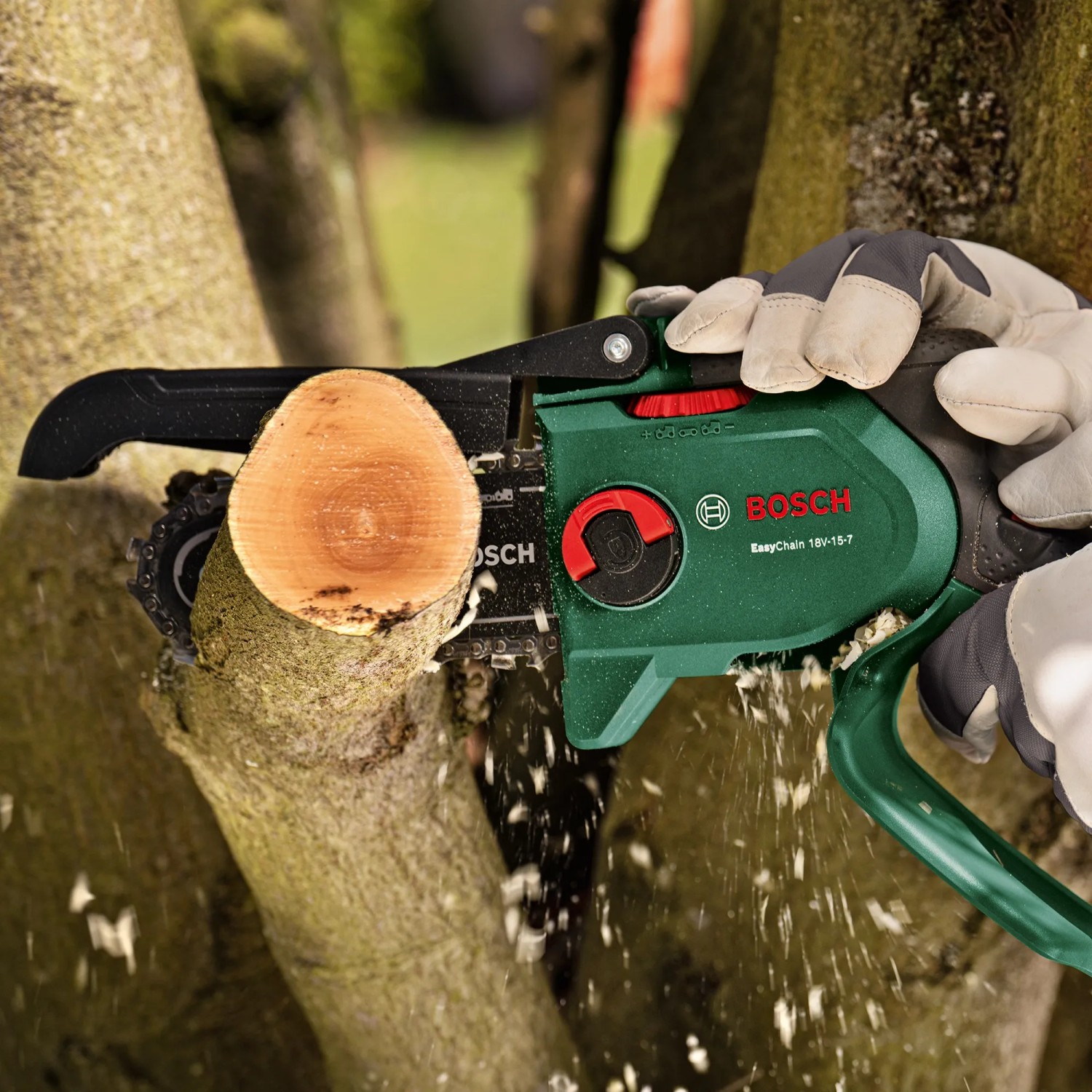 Bosch EasyChain 18V-15-7 Akku-Gehölzschneider beim Schneiden eines Astes.
