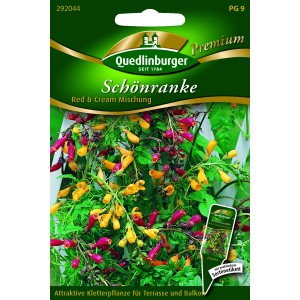 Quedlinburger Schönranke ''Red & Cream Mischung''