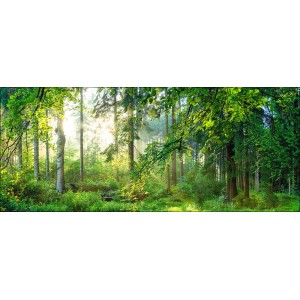 Deco Panel Anonymus Forest Harmony, 117x49cm, mit Waldmotiv und Sonnenschein.