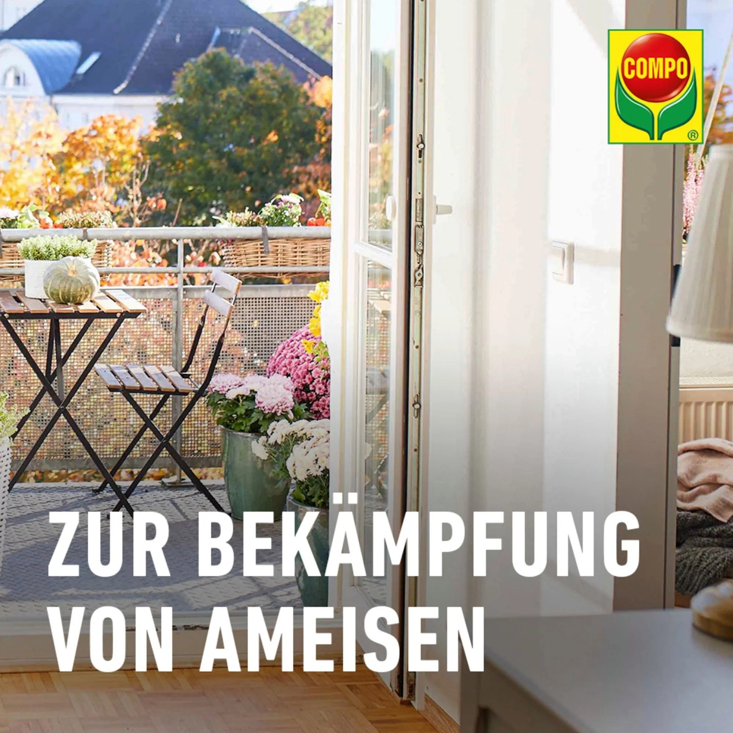 Compo Ameisen-Kder 2 Dosen kaufen bei OBI