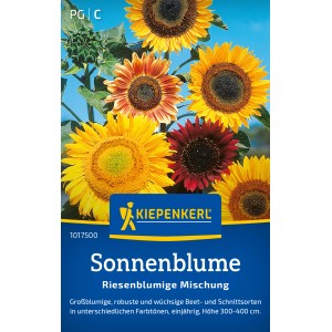 Kiepenkerl Sonnenblumen "Riesenblume Mischung" Mehrfarbig