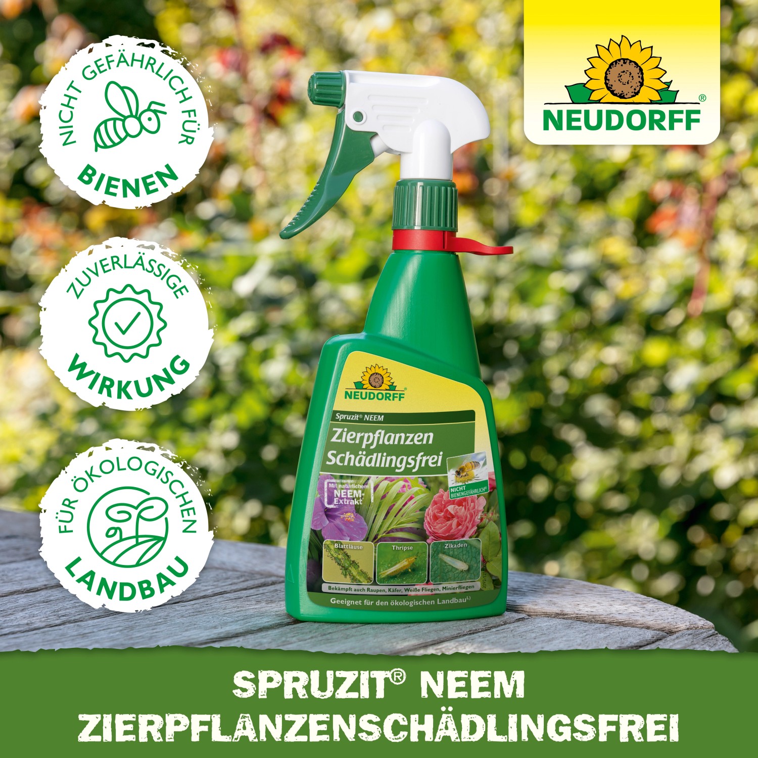 Neudorff Spruzit Neem Zierpflanzenspray 450ml gegen Schädlinge an Zierpflanzen.