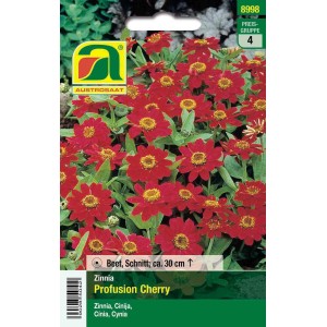Austrosaat Zinnien Profusion Cherry Saatgut mit kirschroten Blüten für Beet und Topf.
