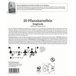 Kiepenkerl Pflanzkartoffel Sieglinde, 20 Stück, für den Anbau im Garten oder auf dem Feld.