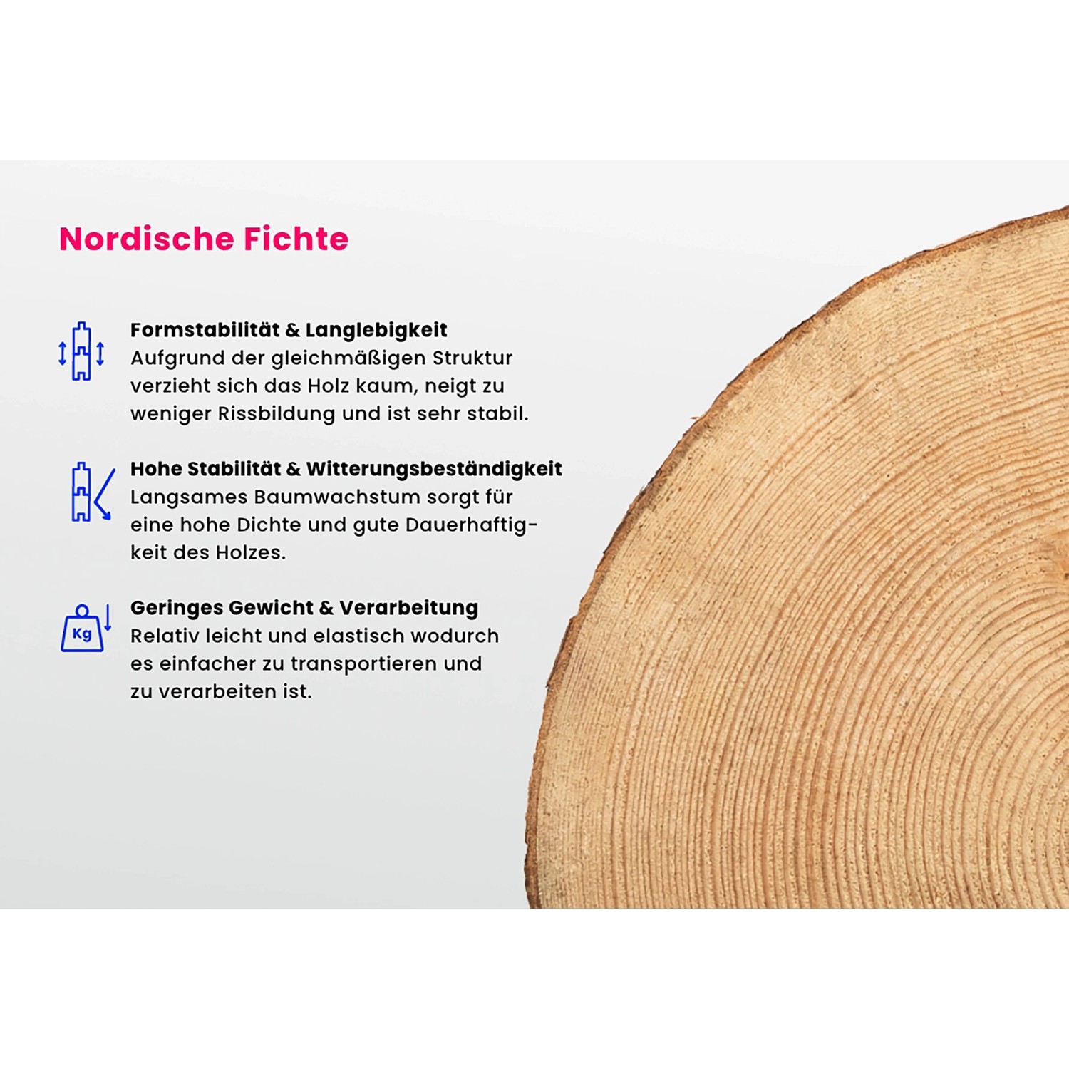 Detailaufnahme Holzquerschnitt der Alpholz Gartenhaus Maria-28 Natur, Holzmaserung sichtbar.