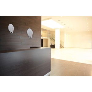 Zwei silberne Näve LED-Wandleuchten Stan (19 cm) an dunkler Holzvertäfelung in modernem Ambiente.