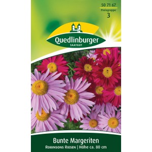 Packung bunte Margeriten 'Robinsons Riesen' mit pinken und lila Blüten.