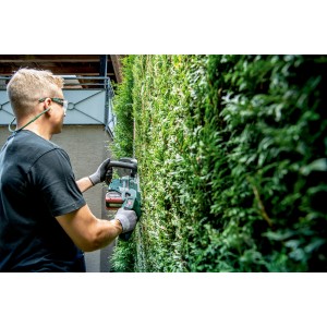 Mann schneidet Hecke mit Metabo Akku-Heckenschere HS 18 LTX BL 75. Akku-Heckenschere im Einsatz.