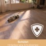 Heller Holzboden mit Hund, geschützt durch Bona Reiniger für geölte Böden.