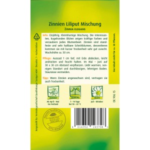 Samentüte Quedlinburger Zinnie Liliput Mischung, einjährige Sommerblume für Beet und Rabatte.