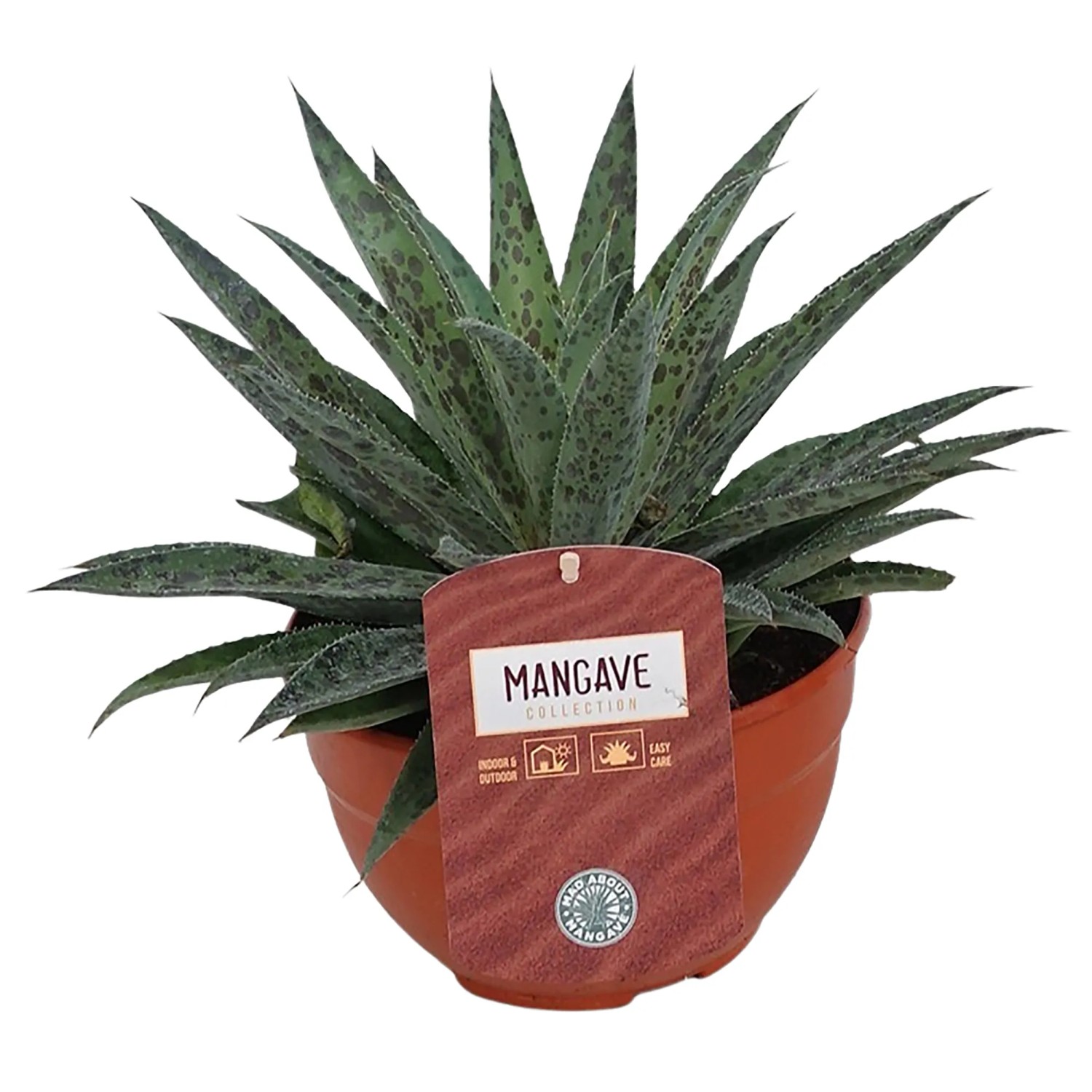 compo hochbeet COMPO BIO Hochbeet- und Gewächshauserde torffrei kaufen main image 1