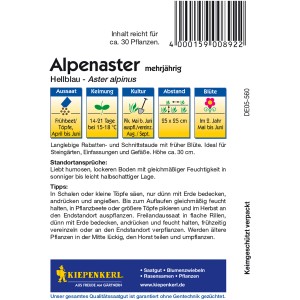 Kiepenkerl Alpenaster Hellblau Samenpackung, mehrjährige Aster alpinus.