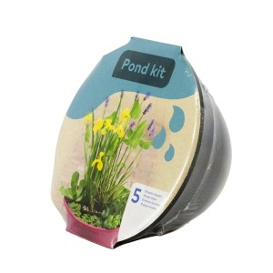 Teichpflanzen-Set im Topf (ca. 40 cm) mit gelben und lila Blüten.