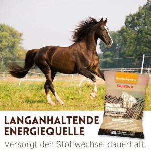 Braunes Pferd galoppiert auf Wiese. Sack Supravit Pferdefutter (Hafer Walzhafer Kraftfutter), energiereich, gequetscht.