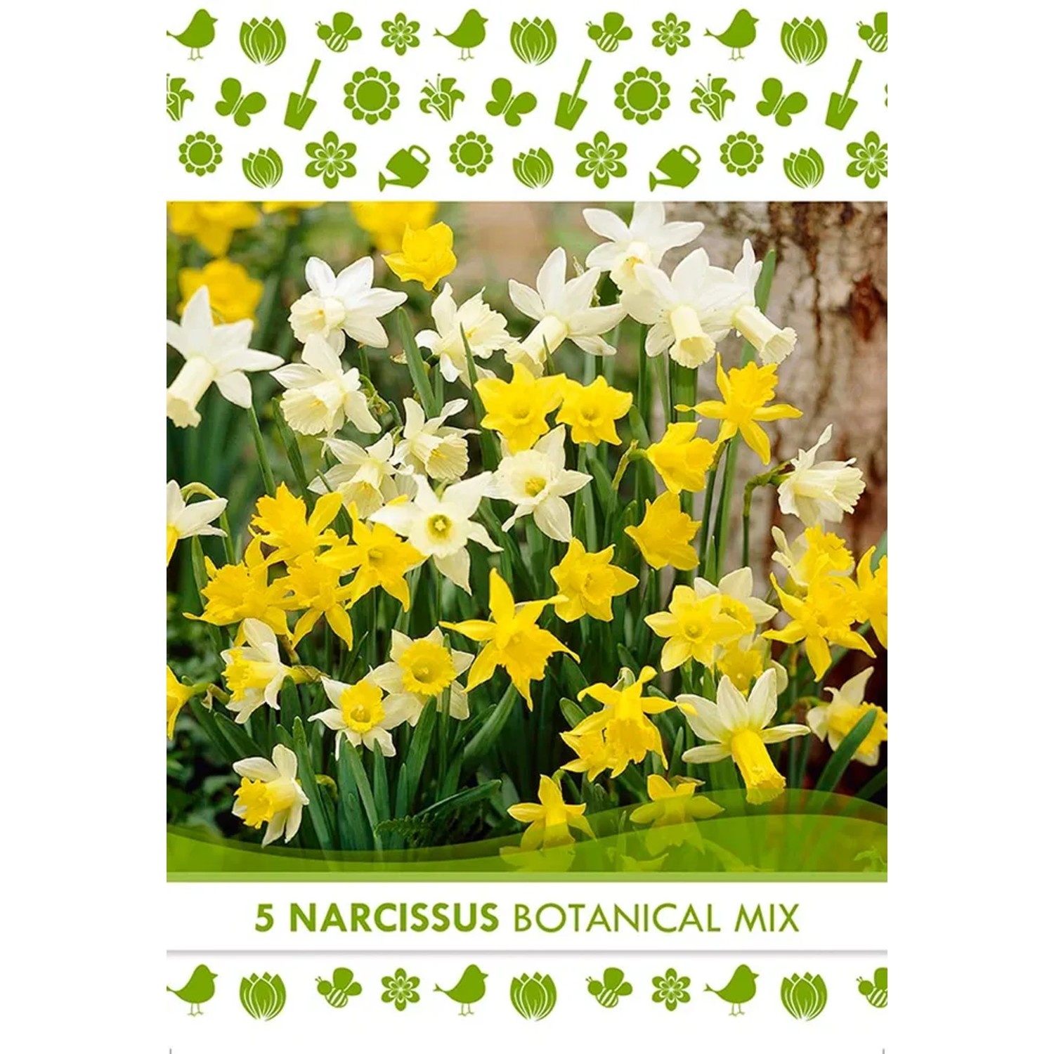 10 Blumenzwiebeln Narzissen 'Orangery' – Geschlitztkronige, Großblumige Frühlingsblüher (Zwiebelumfang 12/14 Cm)