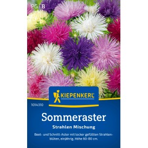 Kiepenkerl Sommeraster Strahlen Mischung, mehrfarbig. Blüten in Weiß, Lila, Rosa und Gelb.