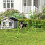 Border Collie springt über grüne PawHut Agility Hürde aus Kunststoff im Garten. Hundetraining Set für Agility & Training.