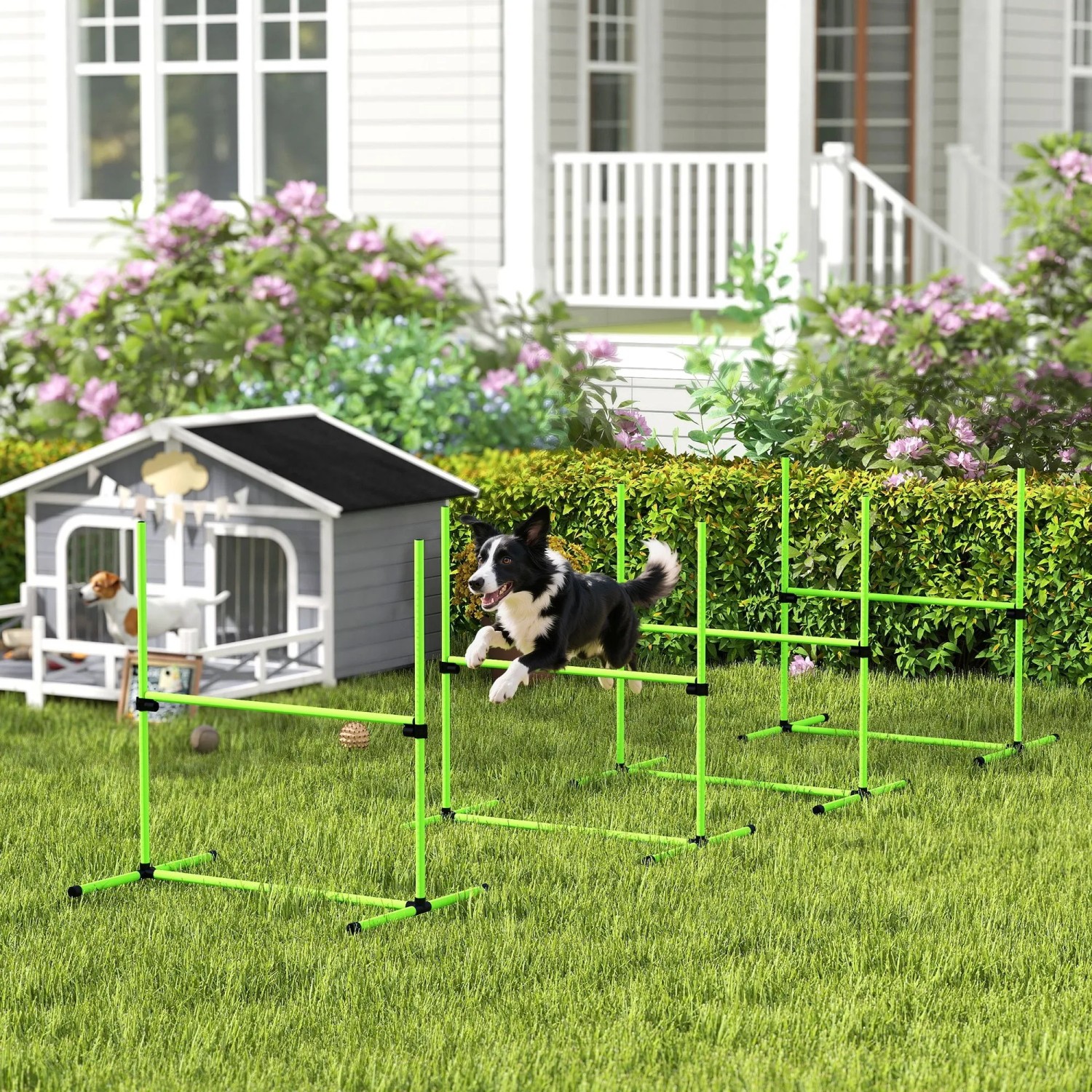 Border Collie springt über grüne PawHut Agility Hürde aus Kunststoff im Garten. Hundetraining Set für Agility & Training.