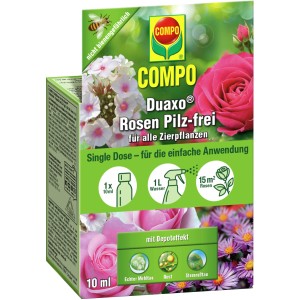Compo Duaxo Rosen Pilz-frei, 10ml Portionsflasche für Zierpflanzen. Fungizid gegen Mehltau, Rost und Sternrußtau.