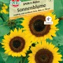 Samenpackung SPERLI's Helios Sonnenblume, einjährige Schnittblume mit gelben Blüten.