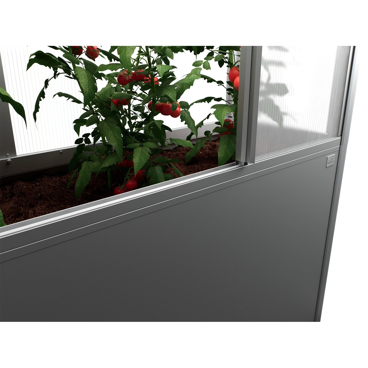 Biohort Gewächshaus Florentina Mini, quarzgrau-metallic, mit reifen Tomatenpflanzen.