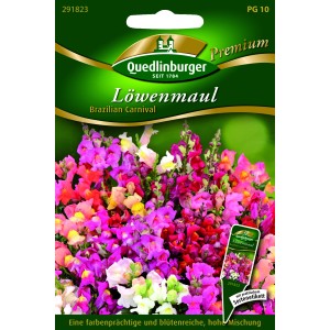 Quedlinburger Löwenmaul 'Brazilian Carnival' Blumensamen mit farbenfrohen Blüten.