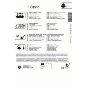 Kiepenkerl Blumenrohr Brillant, 1 Stück. Verpackung mit Anbauhinweisen.