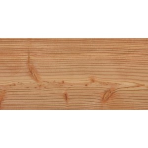 Forsdal Pfosten aus Lärche Natur, Zubehör für Zaunbau & Sichtschutz