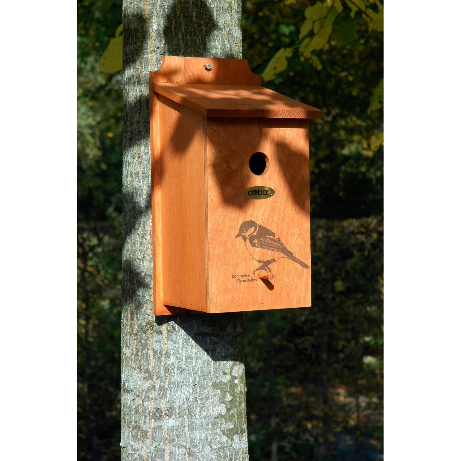 Dobar Nistkasten aus Kiefernholz mit Kohlmeise-Motiv, angebracht an einem Baum.